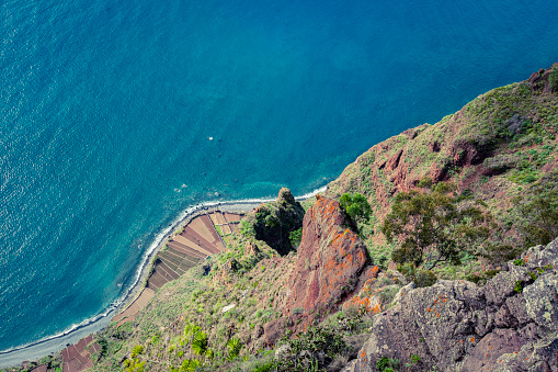 coastline agriculture at madeira island in portugal.