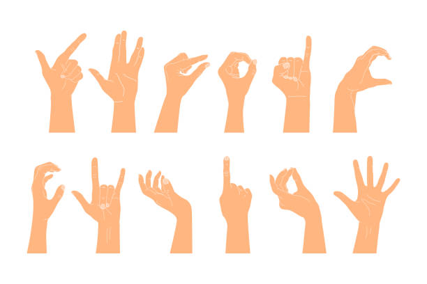 Set of raised human hands showing different gestures. Vector illustration of human hands Set of raised human hands showing different gestures. Vector illustration of human hands vulcan salute stock illustrations