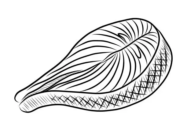 Vector illustration of BLACK AND WHITE VECTOR DRAWING OF A SALMON SLICE
