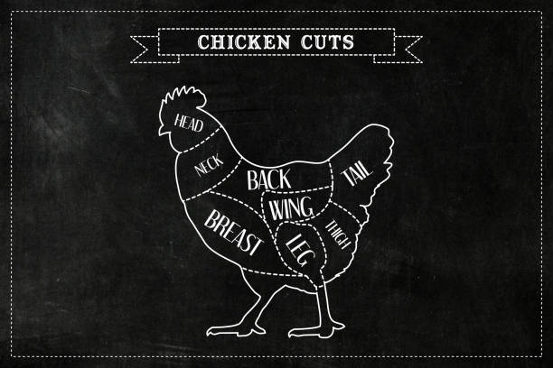 Cutting diagram for meat from different animals