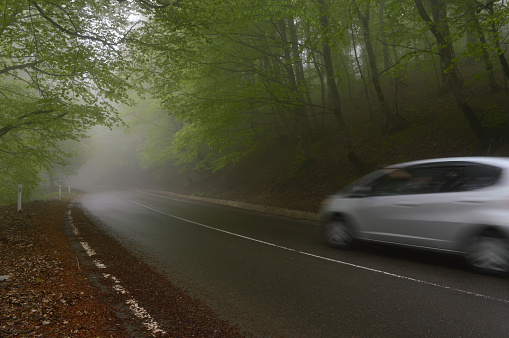 A car is captured in motion as it traverses an asphalt road surrounded by the dense, mist-shrouded foliage of an early morning forest, creating an ethereal atmosphere.