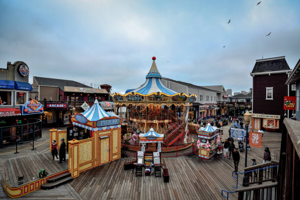 Sea lions resting at pier 39 of San Francisco during springtime day