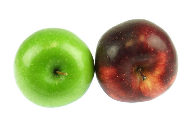 Two apples, one red and one green in front of a white background