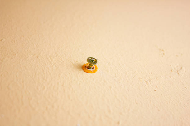 Self-tapping screw screwed into a concrete wall. Self-tapping screw, bolt in the wall.