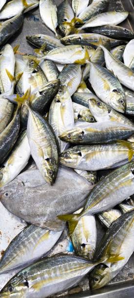 istock Fresh Fish for sale at kl wet market 1995645558