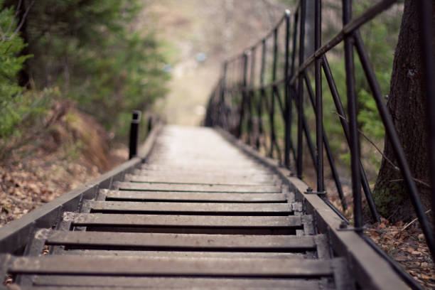 A wooden staircase with a black metal railing winding its way down through a lush, green forest, creating a charming, rustic pathway for hikers and nature enthusiasts.