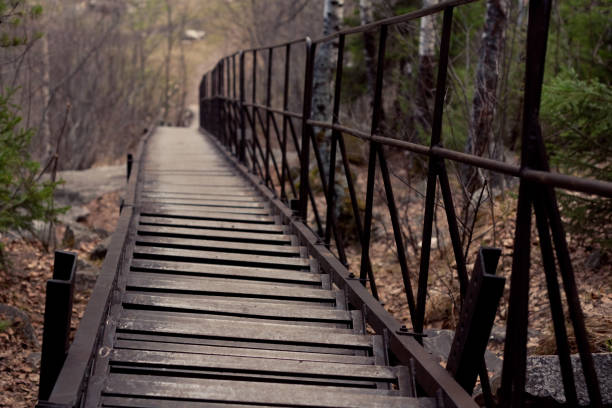 A wooden bridge with a metal railing in a lush forest. Offers a picturesque pathway through serene surroundings, ensuring safe passage with well-maintained planks and secure railing.