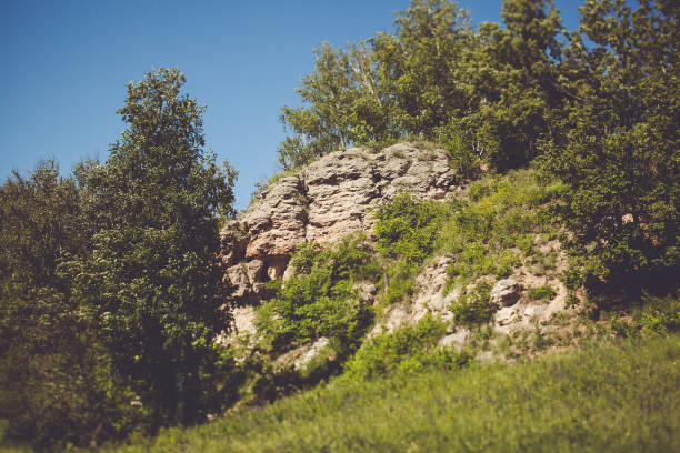 A serene rocky hill covered in lush green foliage, embraced by a tranquil forest under the clear blue sky. Perfect for hiking and nature photography enthusiasts.