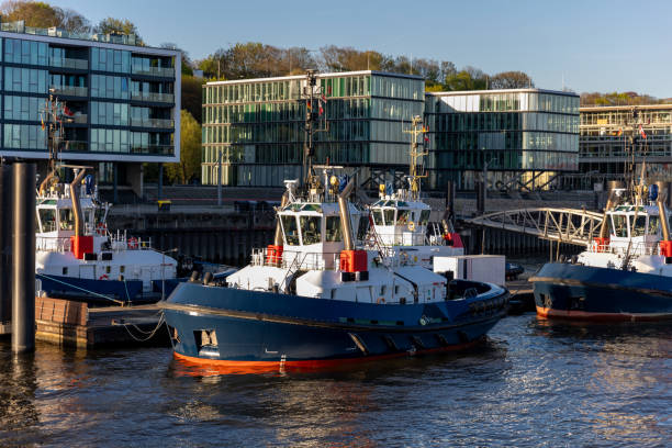 many modern powerful tow ships service team mored in row at hamburg elbe harbour at evening sunset day time. support tugboat vessel fleet in germany industrial cargo freight harbor marine - hamburg germany harbor cargo container commercial dock imagens e fotografias de stock