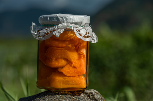 Apricot compote on stone in valley of river Donau in Austria in summer day