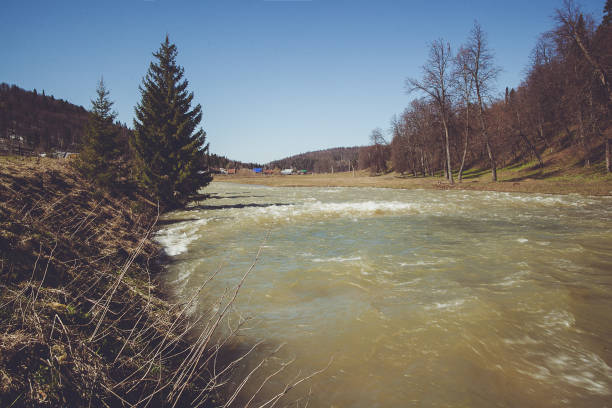 川は渓谷を急流し、パワフルで魅惑的な自然の風景を作り出しています。 - natural phenomenon waterfall rock tranquil scene ストックフォトと画像