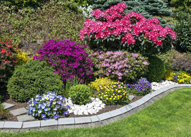 istock Beautiful blooming flower garden in summer 1995717966