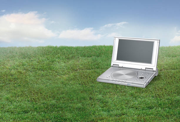 freelance photographer working with laptop and camera outdoor mountain view background.