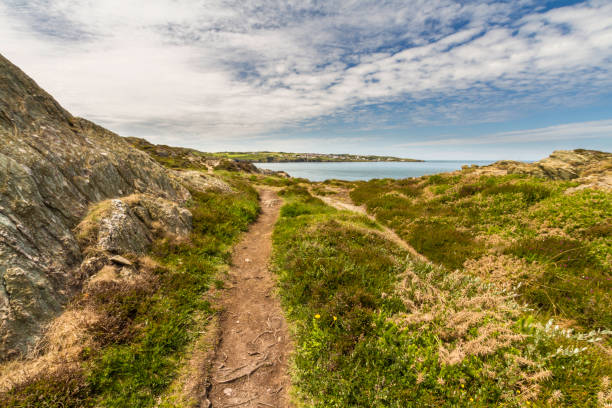 Coastal path on North Coast of Anglesey, Wales. - fotografia de stock