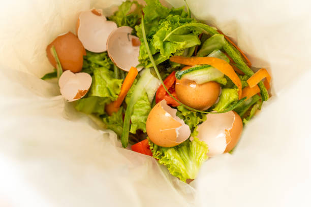 istock Ecology compost supply Kitchen waste recycling composter environmentally friendly. Fruit peel egg shell and vegetables reduce waste 1995796490