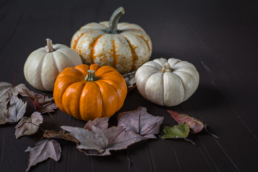 Orange and white pumpkins with leaves around them on a brown surface.