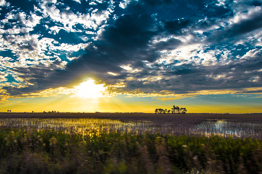 South Florida Ranchland in evening