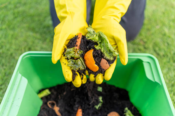 istock Ecology compost supply Kitchen waste recycling composter environmentally friendly. The young man throws leftover fruit peel egg shell and vegetables reduce waste 1995839264