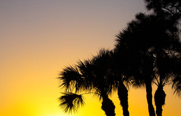 Warm Sunrise, Port St. Lucie, Florida