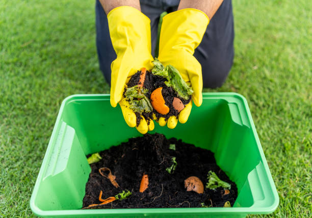 istock Ecology compost supply Kitchen waste recycling composter environmentally friendly. The young man throws leftover fruit peel egg shell and vegetables reduce waste 1995845507