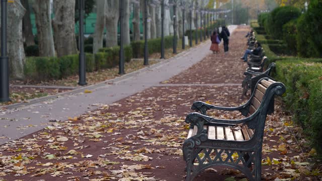 People walking in the public park aleyway with yellow autumn leaves, and benches