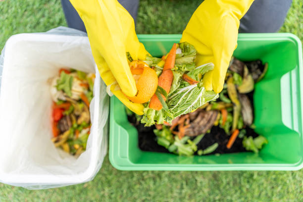 istock Ecology compost supply Kitchen waste recycling composter environmentally friendly. The young man throws leftover fruit peel egg shell and vegetables reduce waste 1995853368