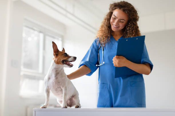 istock Dog interacts with smiling vet holding a clipboard 1995859709