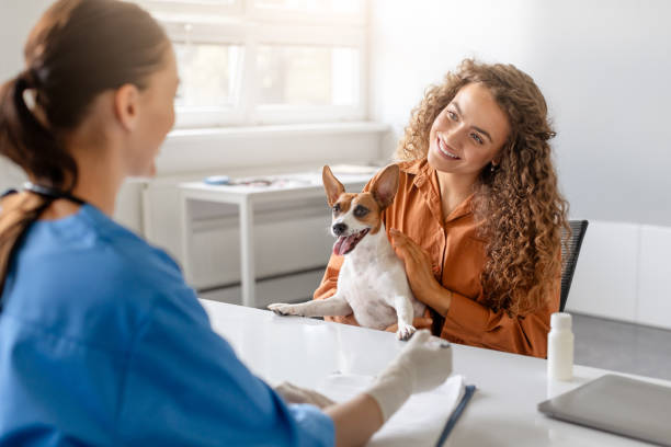 Happy dog with owner at vet's office