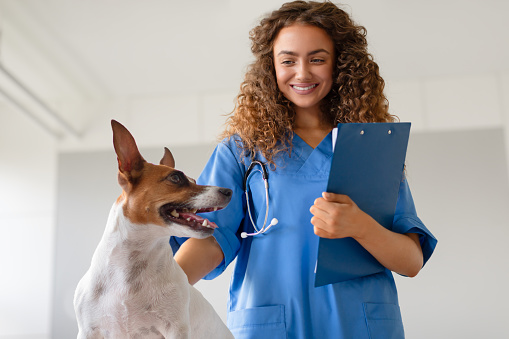 Curly-haired female veterinarian in blue scrubs smiling at the camera, with a friendly brown and white dog looking up at her in a well-lit clinic