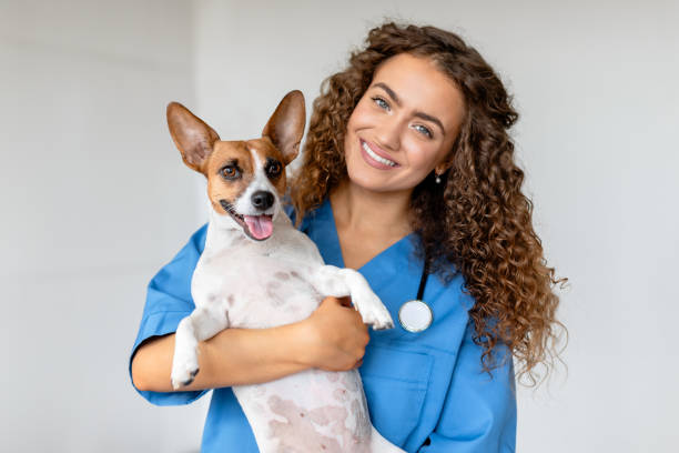 istock Happy vet holding terrier in clinic 1995860778