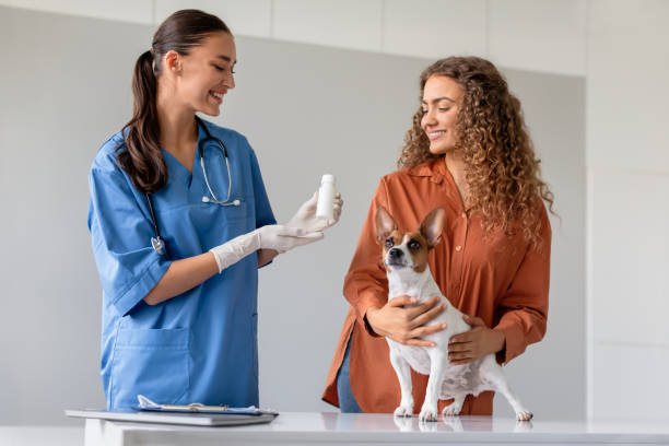 istock Vet discusses medication with pet owner 1995860787