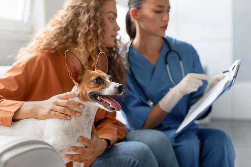 Attentive vet takes clinical notes while a pet owner lovingly strokes her happy Jack Russell Terrier at a routine vet appointment in a bright clinic