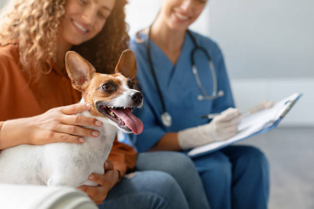 istock Happy dog with owner and writing vet 1995860791