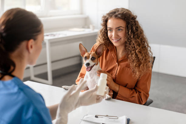 istock Vet shows medication to owner and dog 1995860792