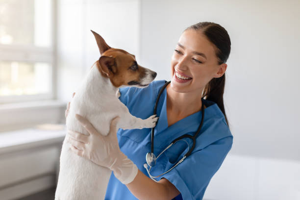 istock Vet holding a friendly dog and smiling 1995860802