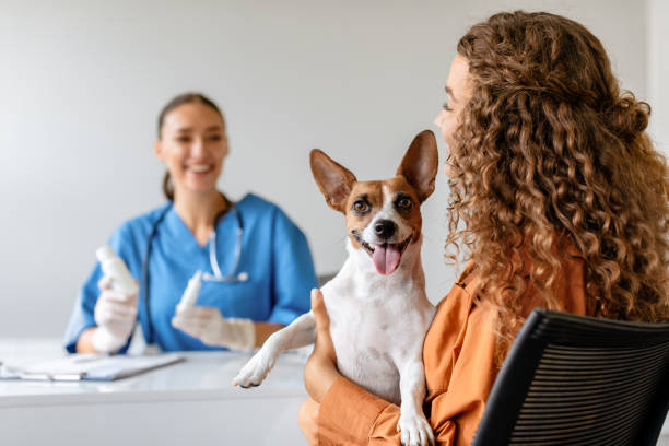 istock Dog with owner at vet's office smiling 1995860825