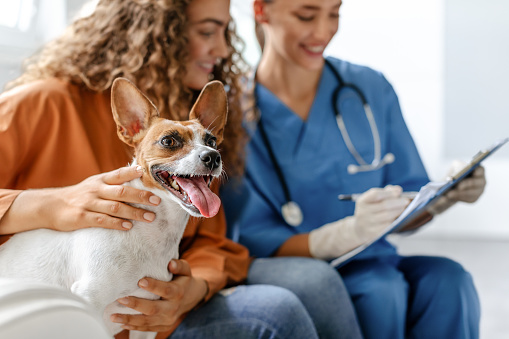 Female owner smiling with her happy Jack Russell Terrier at the vet's office, while veterinarian writing on clipboard, capturing moment of care and trust between pet, owner, and doctor