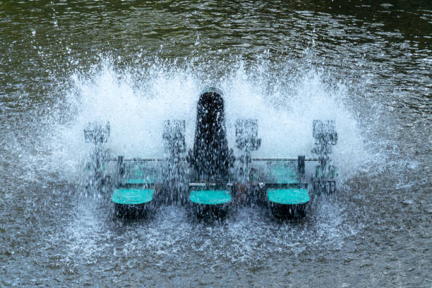 Paddle Wheel Aerator: Revitalizes a lake or pond by churning up water and increasing oxygen levels in aquatic flora and fauna