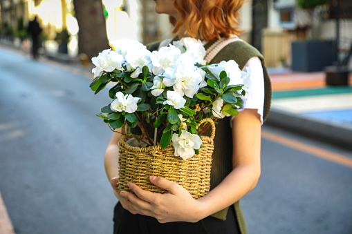 A woman gracefully holds a basket overflowing with beautiful blooming flowers, against a backdrop ideal for text placement.