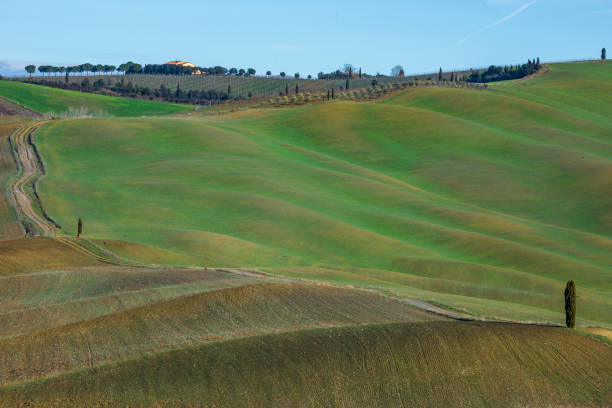 istock The hills of Val D'Orcia at dawn 1995899903