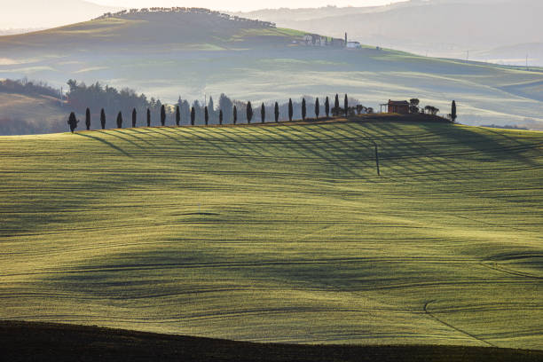 istock Tuscan landscape of the Val D'Orcia 1995905733