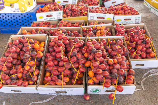 Middle East, Saudi Arabia, Al-Qassim, Buraydah. November 13, 2023. Boxes of dates at a market in Buraydah. November 13, 2023.