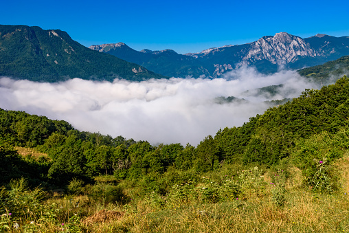 Beautiful mist over green forest on mountain. Fog in the valley. The morning mist  in Bosnia and Herzegovina.
