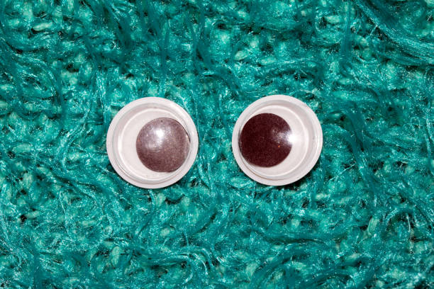 Funny Wiggle Google Eyes on Fabric