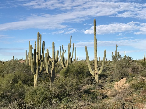 Granite Mountain Scottsdale Arizona