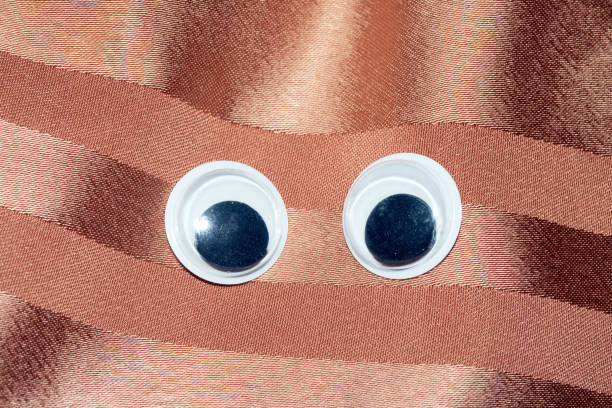 Funny Wiggle Google Eyes on Fabric