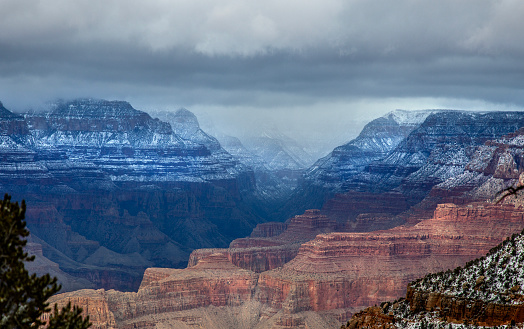 Fresh snow has fallen at the North Rim of The Grand Canyon at Grand Canyon National Park, Arizona