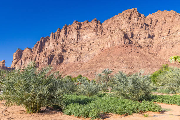 istock A desert farm in Al-Disah. 1996044287