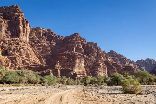 Middle East, Saudi Arabia,Tabuk, Wadi Al-Disha, Prince Mohammed bin Salman Natural Reserve. Wadi Al-Disha, known as the Grand Canyon of Saudi Arabia and the Valley of the Palms.