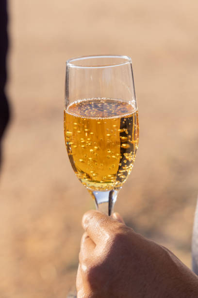 Middle East, Saudi Arabia, Medina, Al-Ula. Glass of sparking fruit juice.